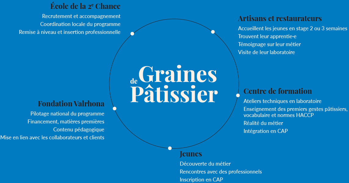 Schéma du programme de Graines de Pâtissier